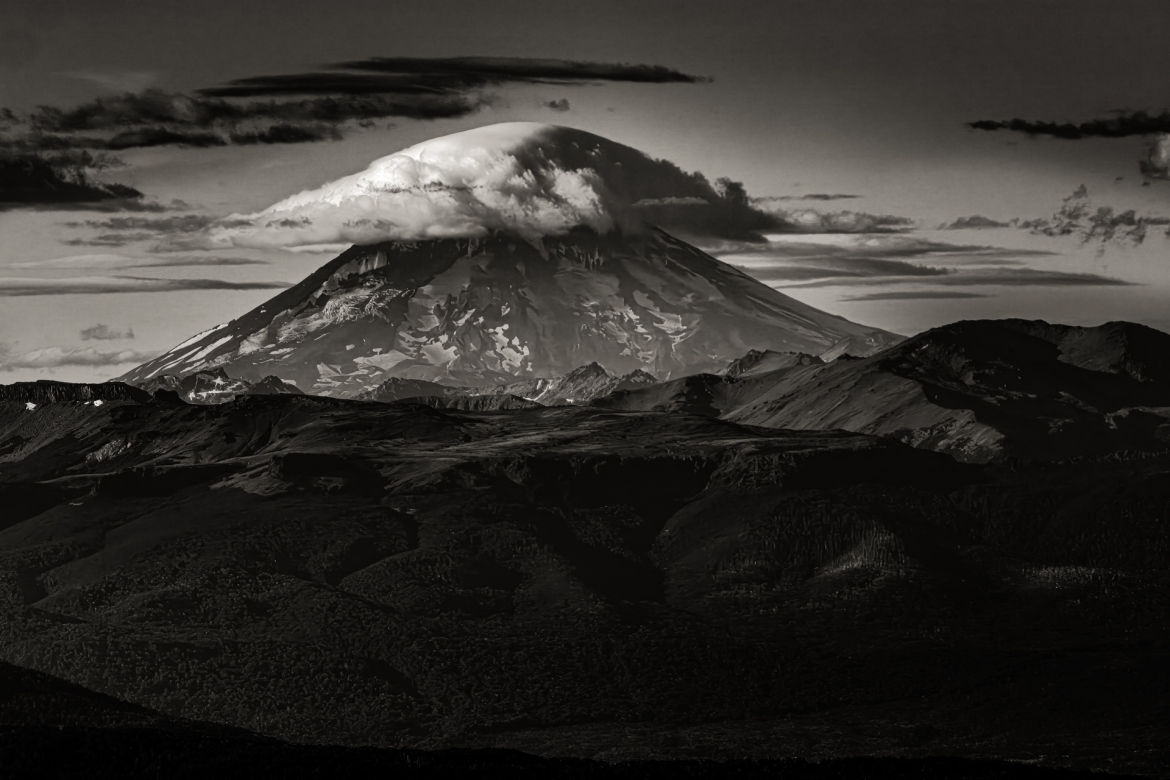 LANIN ENCAPUCHADO - Edición limitada - 1 de 12 obras de 60cm x 80cm COMPRAR
