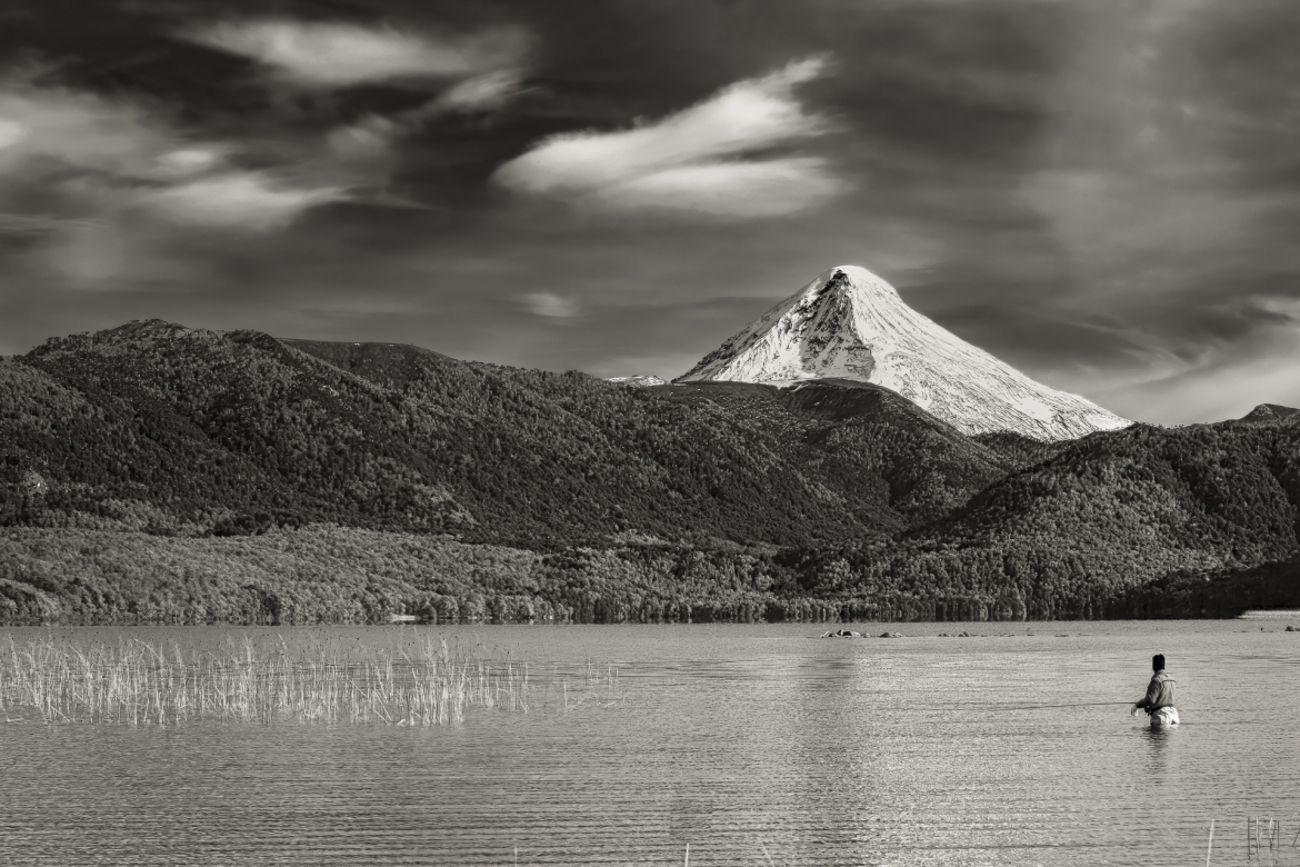 QUILLEN - Edición limitada - 1 de 24 obras de 90cm x 60cm  Comprar