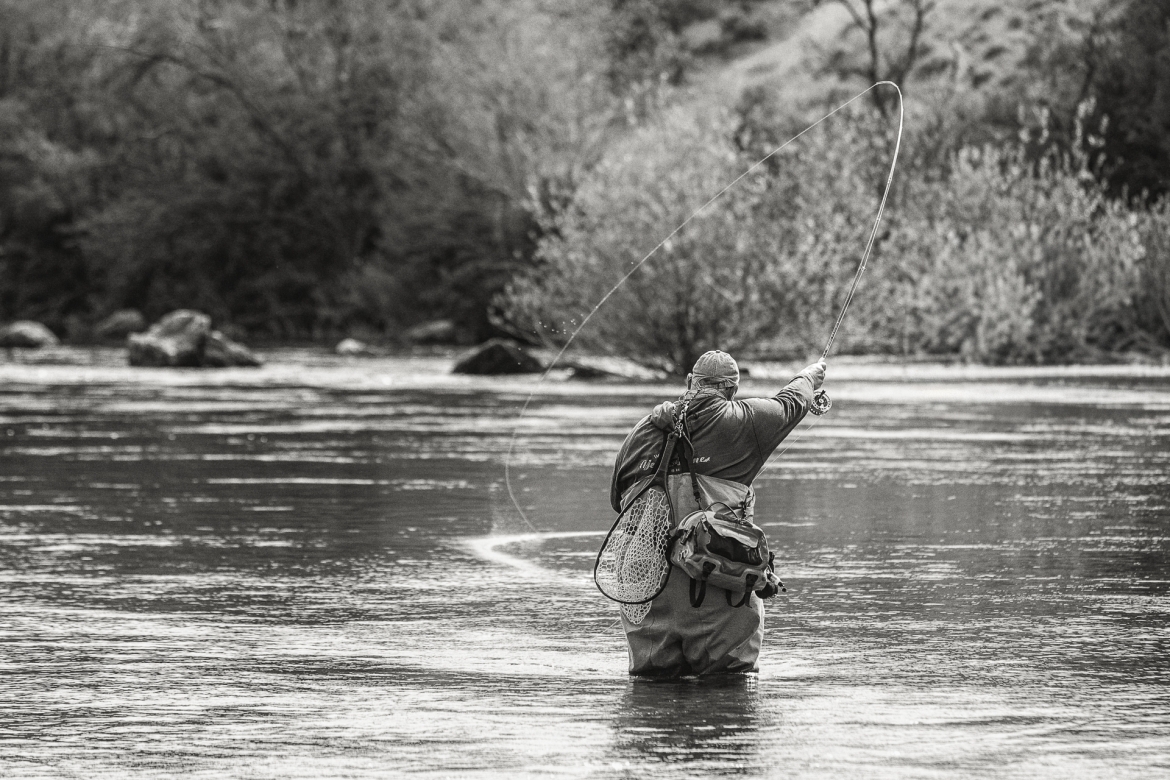 CHICOTAZO - Edición limitada - 1 de 24 obras de 90cm x 60cm    Comprar