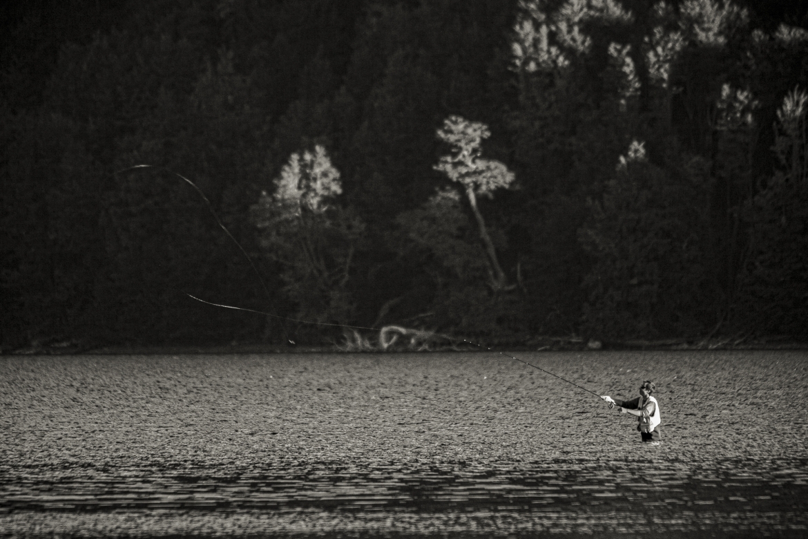 FALKNER DE TARDE - Edición limitada - 1 de 24 obras de 90cm x 60cm   Comprar