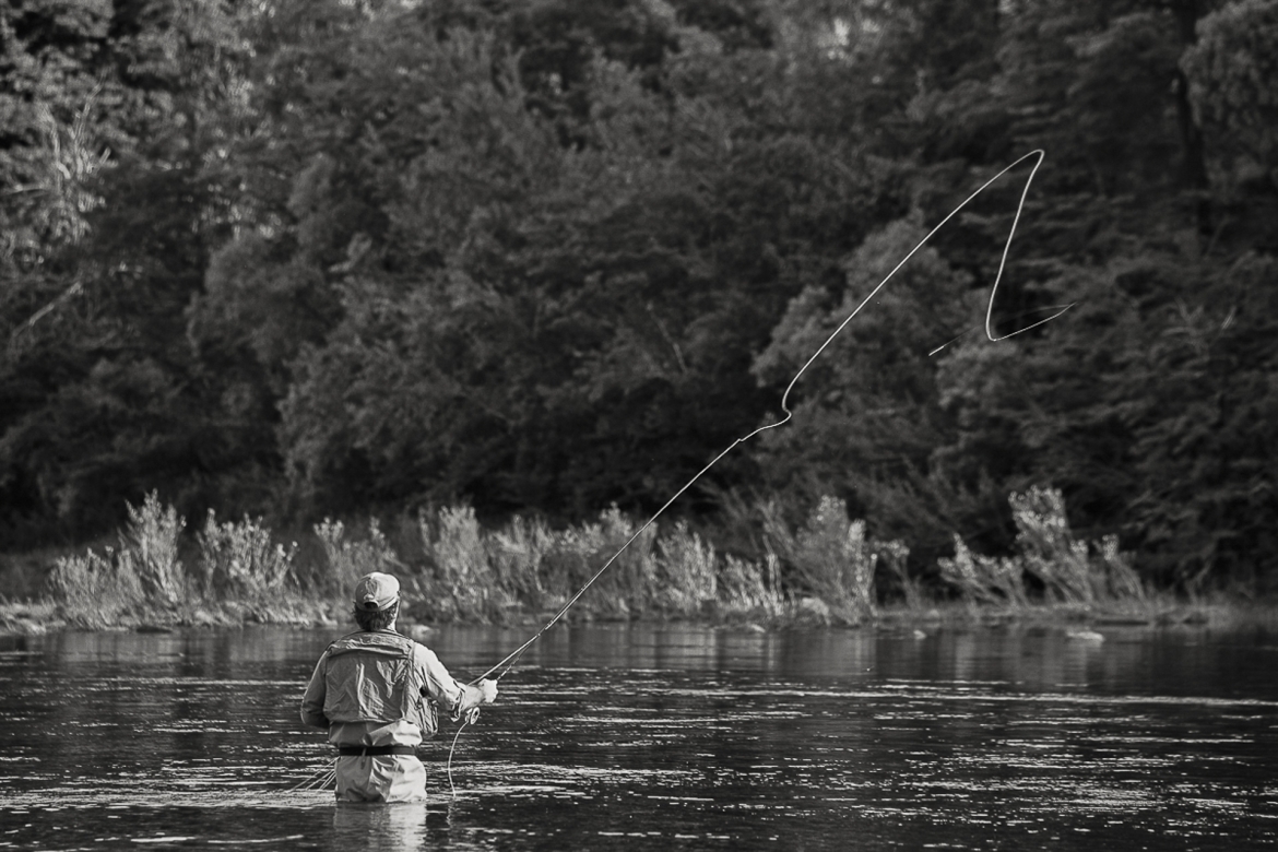 VUELOS - Edición limitada - 1 de 24 obras de 90cm x 60cm   Comprar