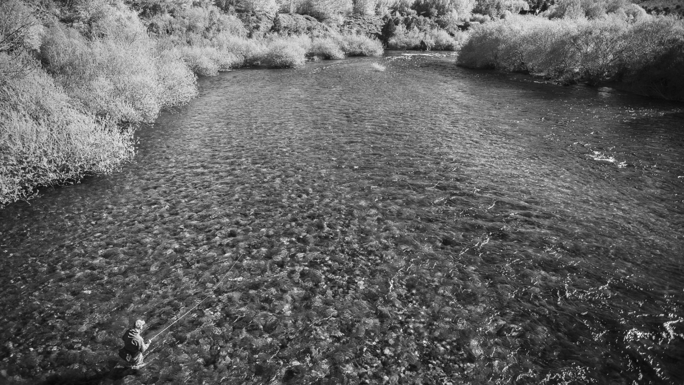 SOLO EN CHIMEHUIN - Edición limitada - 1 de 24 obras de 90cm x 60cm   Comprar