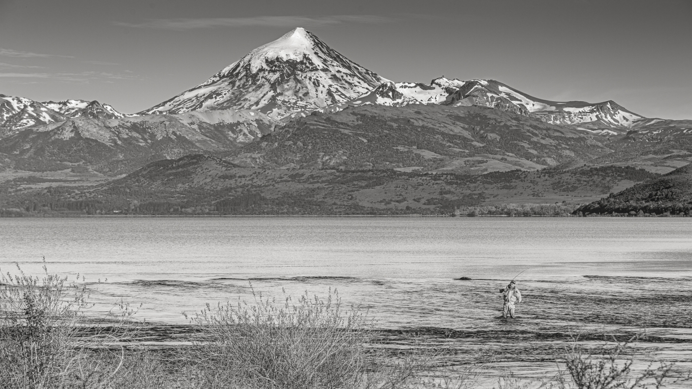 DE FRENTE  - Edición limitada - 1 de 24 obras de 90cm x 60cm   Comprar
