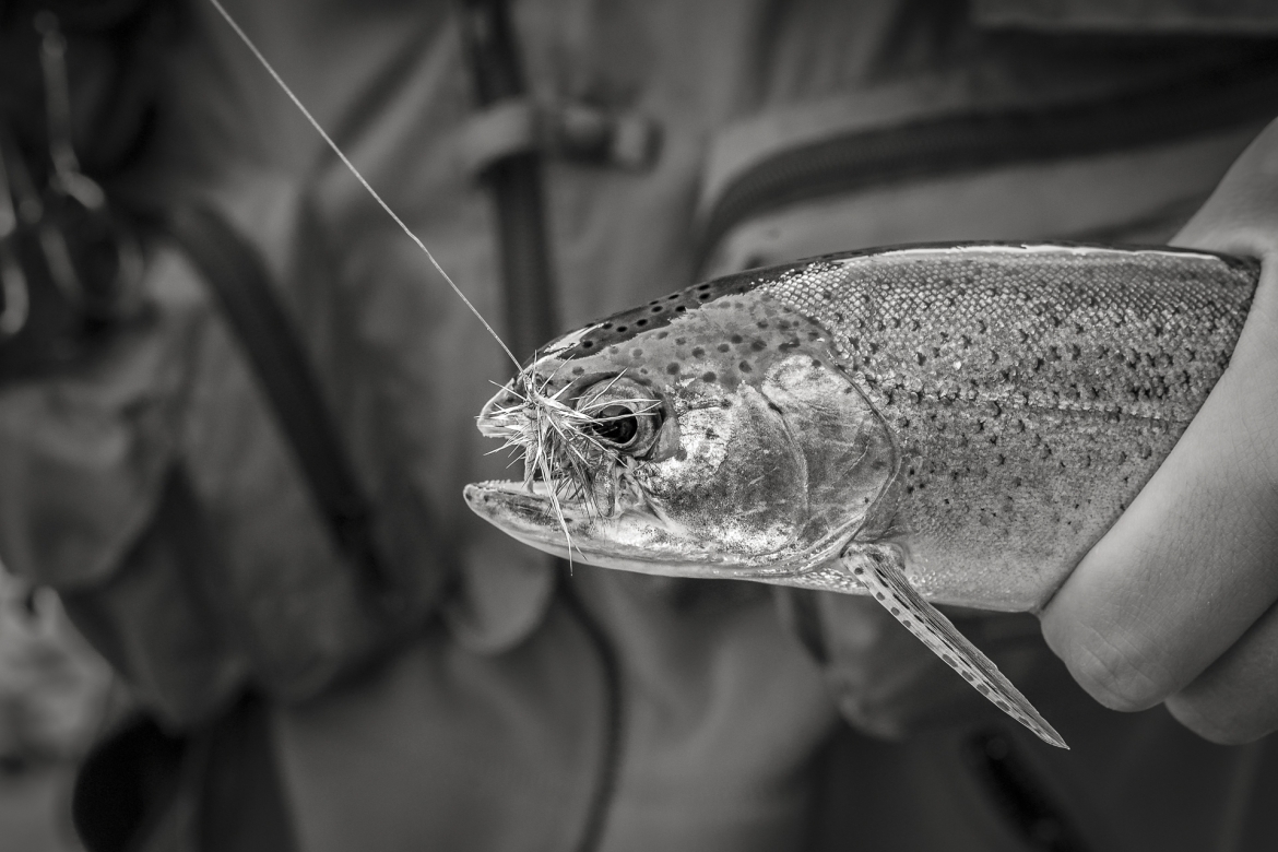 ARCO IRIS - Edición limitada - 1 de 24 obras de 90cm x 60cm   Comprar