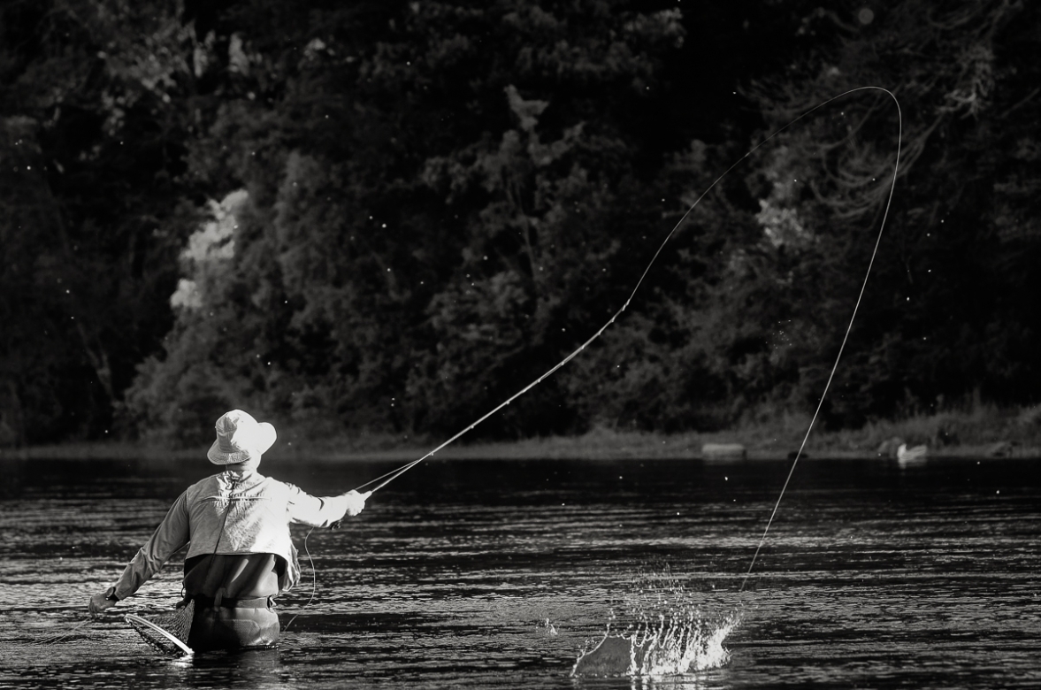 SALPICADO - Edición limitada - 1 de 24 obras de 90cm x 60cm   Comprar