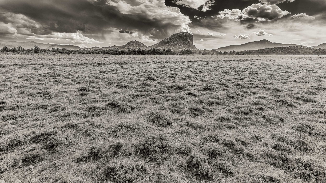 MILENARIA  - 140cm x 70cm  Patagonia Argentina   Consultar disponibilidad