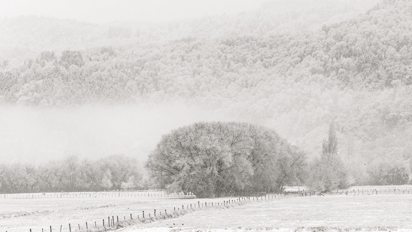 BLANCO REPOSO  - 90cm x 60cm  Patagonia Argentina  Consultar disponibilidad