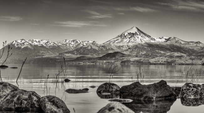 PRESENTE  - 110cm x 60cm  Patagonia Argentina   Consultar disponibilidad 