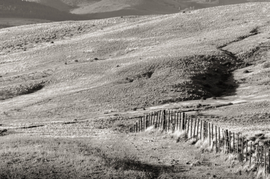 VASTEDAD - 100cm x 60cm   Patagonia Argentina    Consultar disponibilidad
