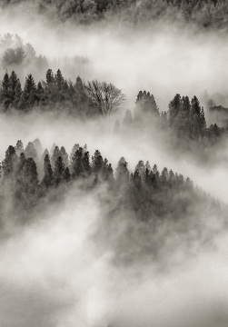 FILTRADAS  -  90cm x 60cm   Patagonia Argentina    Consultar disponibilidad