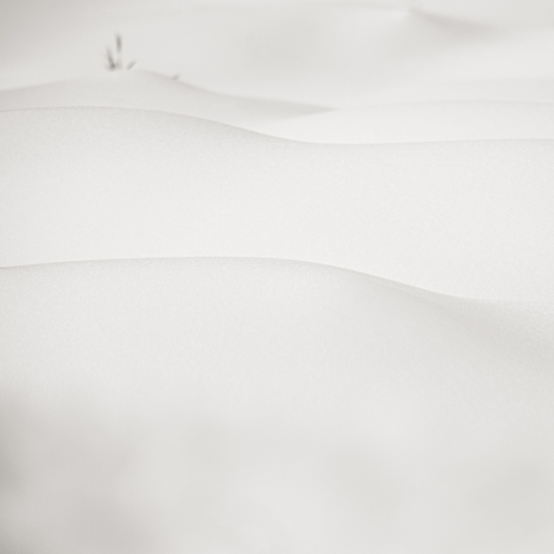 SUTIL - 100cm x 100cm Patagonia Argentina    Consultar disponibilidad