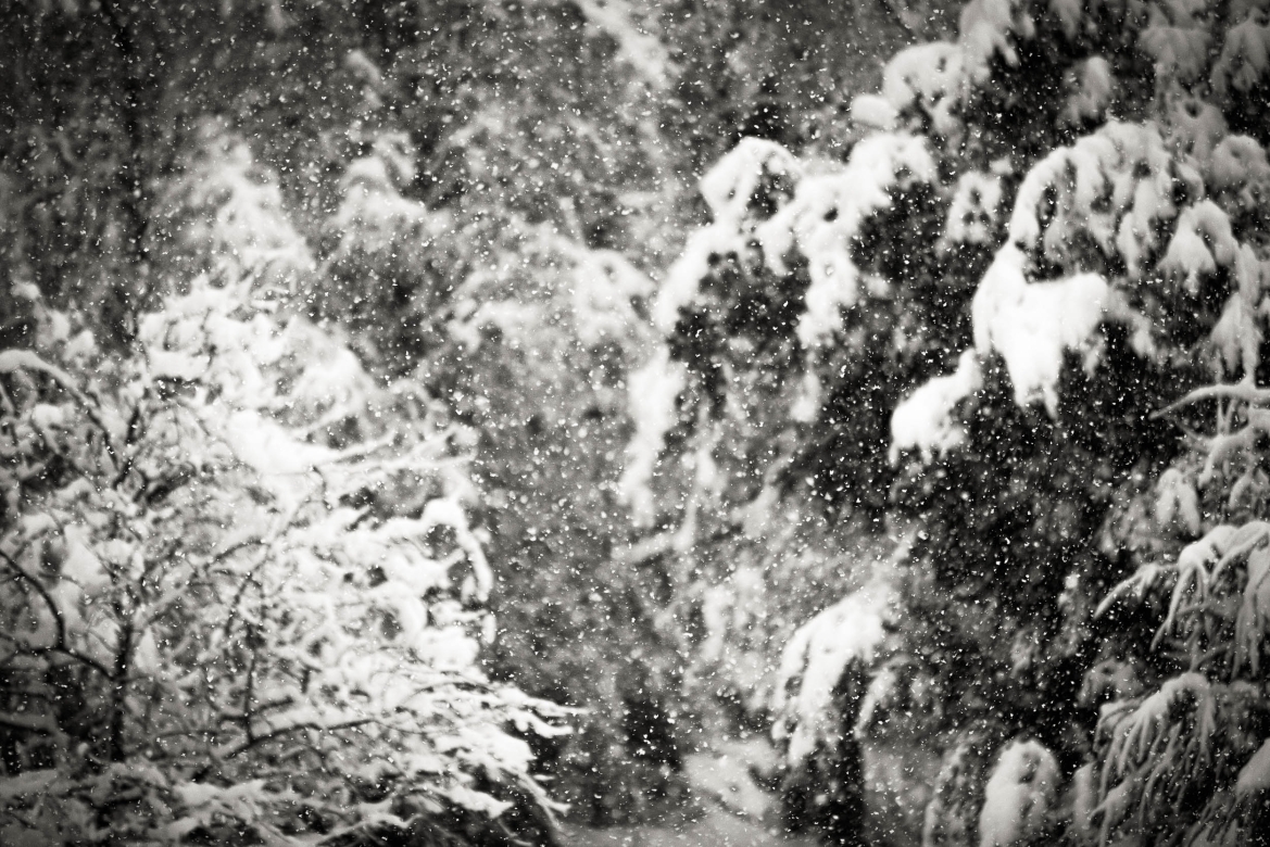 PAQUETON - 130cm x 80cm Patagonia Argentina    Consultar disponibilidad