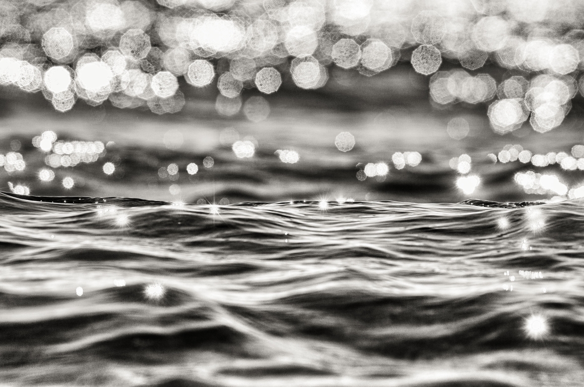 RASO - 130cm x 80cm Patagonia Argentina    Consultar disponibilidad