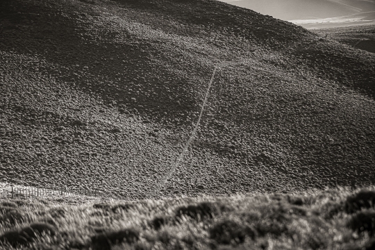 LONG - 120cm x 80cm   Patagonia Argentina   Consultar disponibilidad