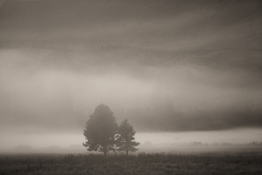 EN ESPERA - 120cm x 80cm   Patagonia Argentina   Consultar disponibilidad