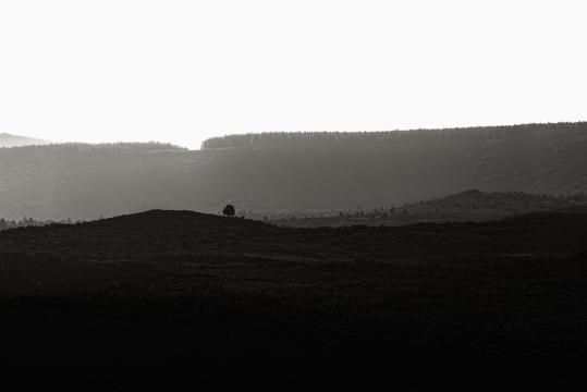 UNICO -  90cm x 60cm   Patagonia Argentina   Consultar disponibilidad