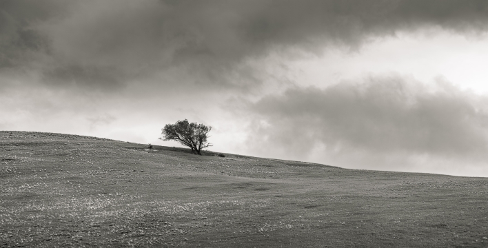 ESTOICO -  90cm x 60cm   Patagonia Argentina   Consultar disponibilidad