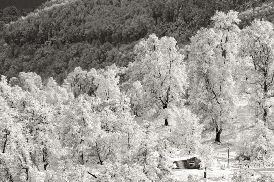 ASCETA -  90cm x 60cm   Patagonia Argentina   Consultar disponibilidad
