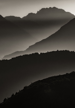 ENTRELAZADOS  - 110cm x 60cm Patagonia Argentina    Consultar disponibilidad